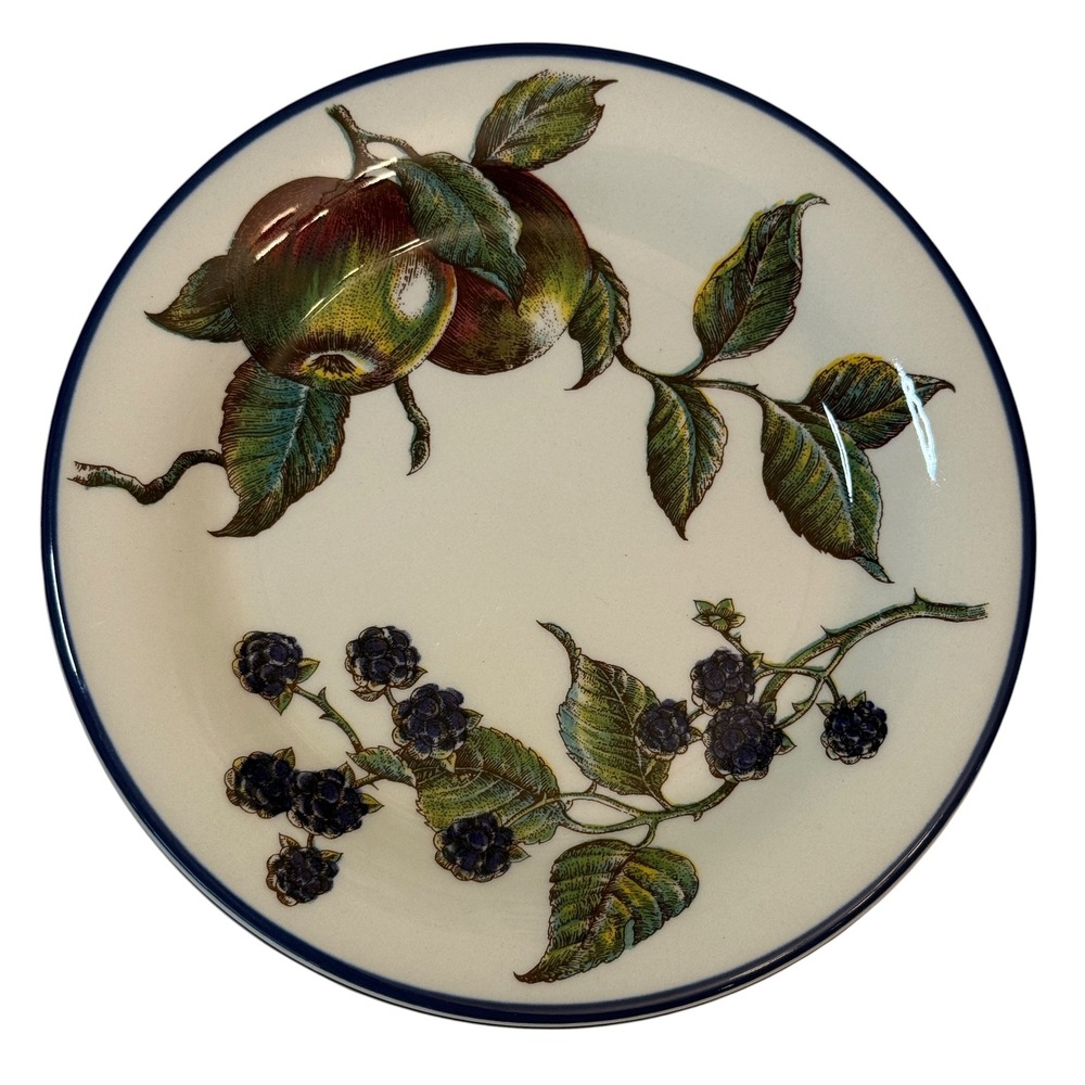 Pier 1 Macintosh Salad Plates Set of 5 Cream Fruit Apple Blackberry Botanical 8"